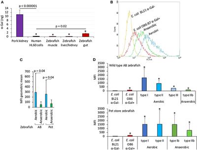 Allergic Reactions and Immunity in Response to Tick Salivary Biogenic Substances and Red Meat Consumption in the Zebrafish Model